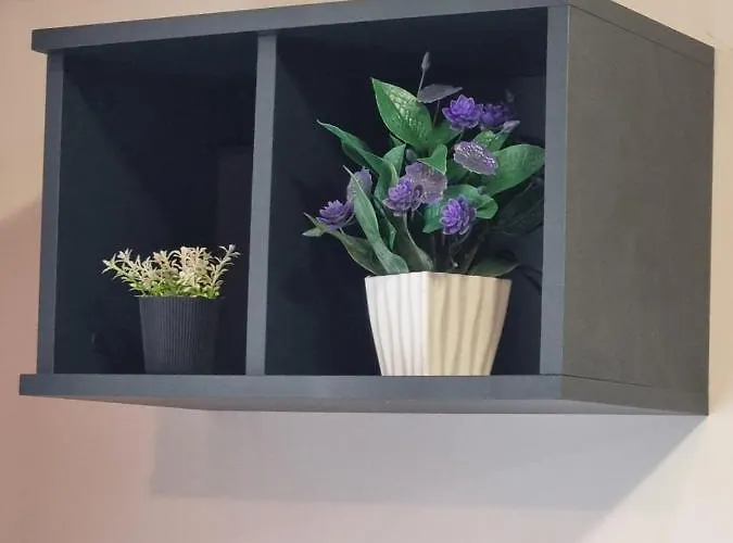 Apartament Domus Extra *