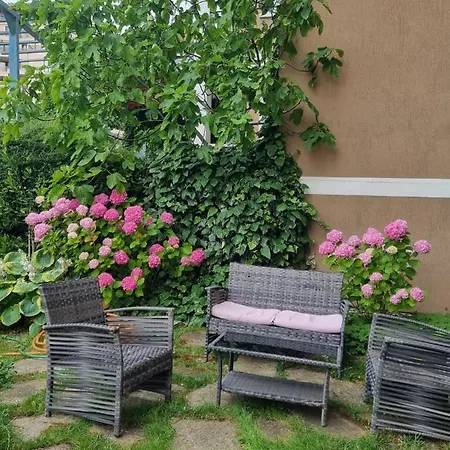 Domus Spacious Свети Влас