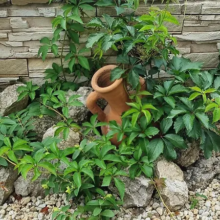 アパート Domus Extra